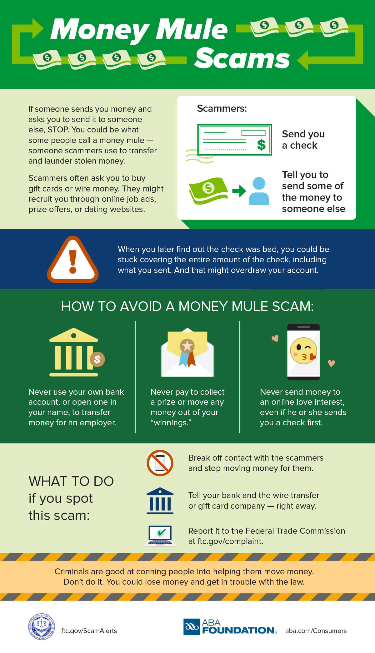 Money-Mule-Infographic